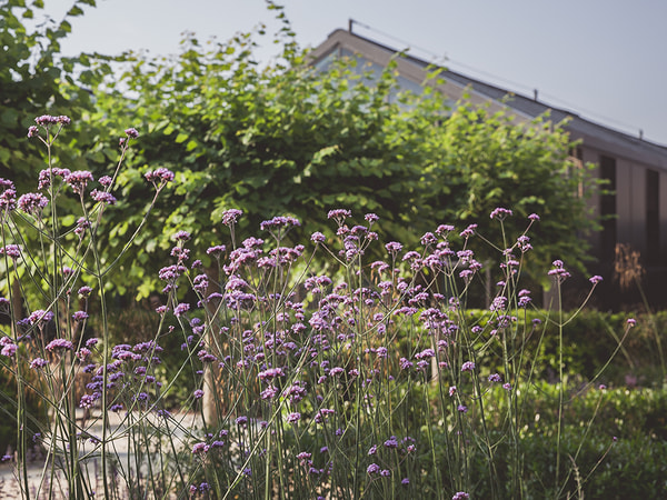 Глобальные изменения